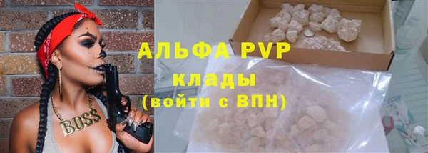 ГАЛЛЮЦИНОГЕННЫЕ ГРИБЫ Белокуриха