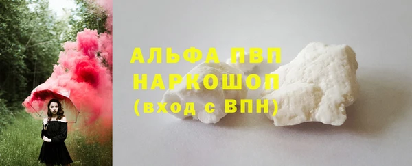 ГАЛЛЮЦИНОГЕННЫЕ ГРИБЫ Белокуриха