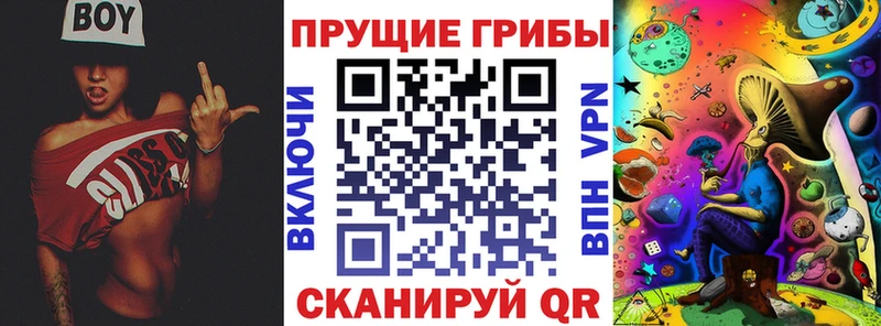 ОМГ ОМГ tor  Тюкалинск  Галлюциногенные грибы Psilocybe 